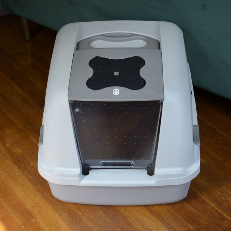 Best Cat Litter Box for Odor Control Buying Guide simplecatguide