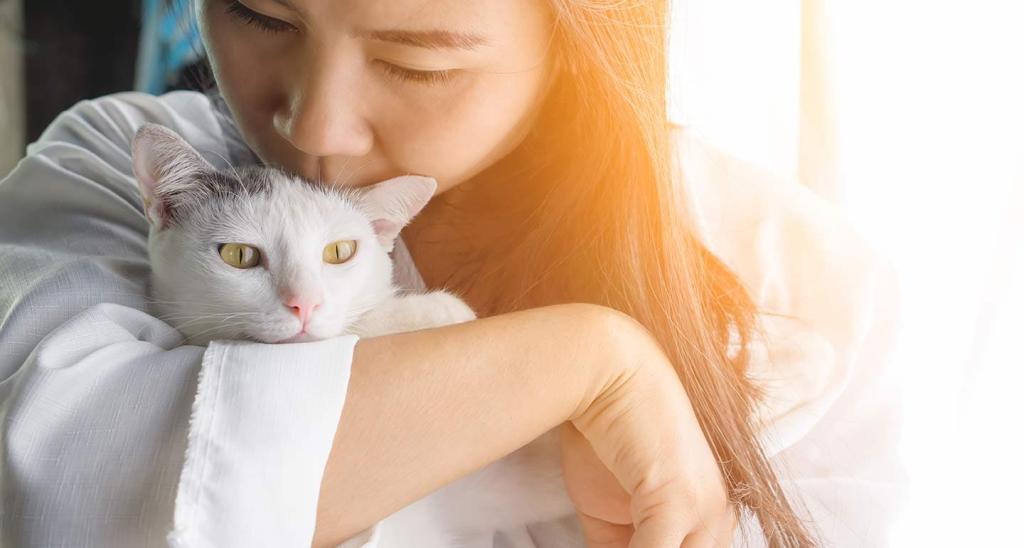 Can Cats Sense Anxiety?
